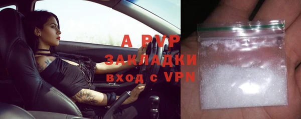 гидра Аркадак