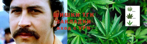 гашик Покров