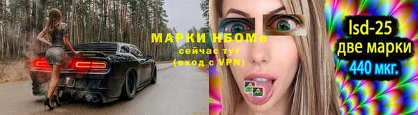 гидра Аркадак