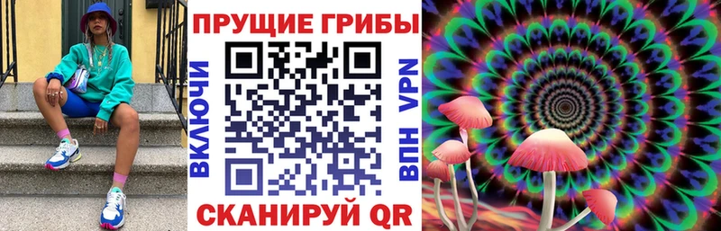 Галлюциногенные грибы прущие грибы  купить наркотик  Зея 